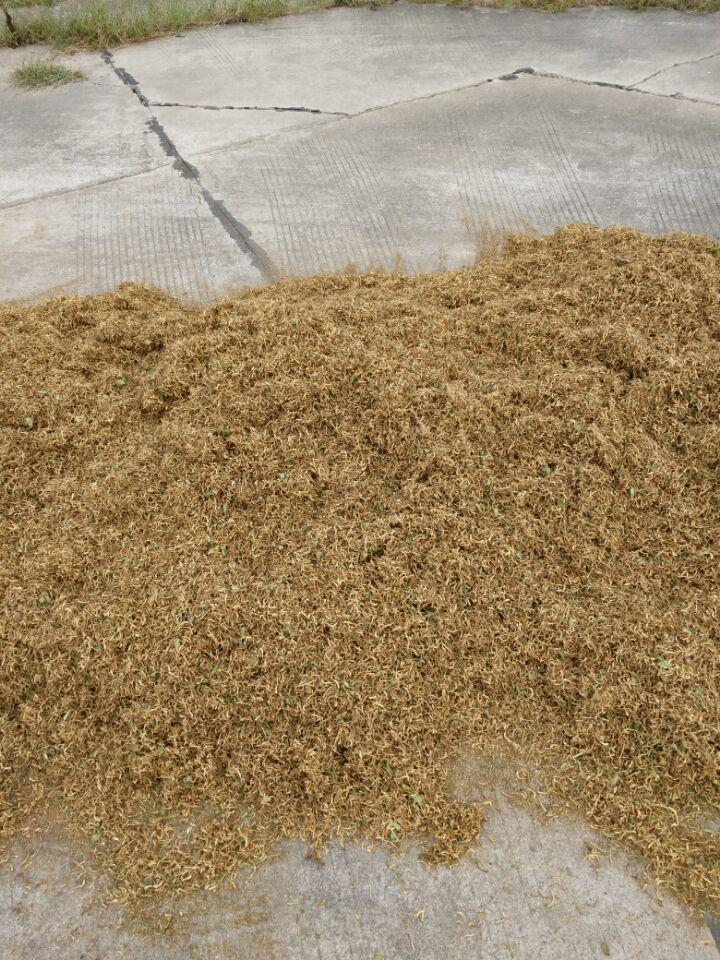 DƬ2.jpg